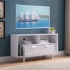 Modern TV Stand with Two Shelves and Two Drawers - White