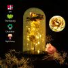 Foil Rose LED String Light Rose Fairy Lamp w/ Glass Dome For Valentines’ Day Mother’s Day Wedding Birthday