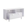 Modern TV Stand with Two Shelves and Two Drawers - White