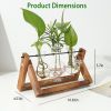 Desktop Glass Planter Bulb Plant Terrarium with Wooden Stand Air Planter Glass Vase Metal Swivel Plant Vase for Hydroponics