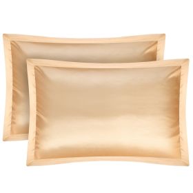 2 Pack Soft Silky Satin Pillow Case Hypoallergenic Breathable Bed Pillow Cover Queen Size Pillowcase Great for Hair Skin (Option: 2PcsQueenPillowCaseIvory)